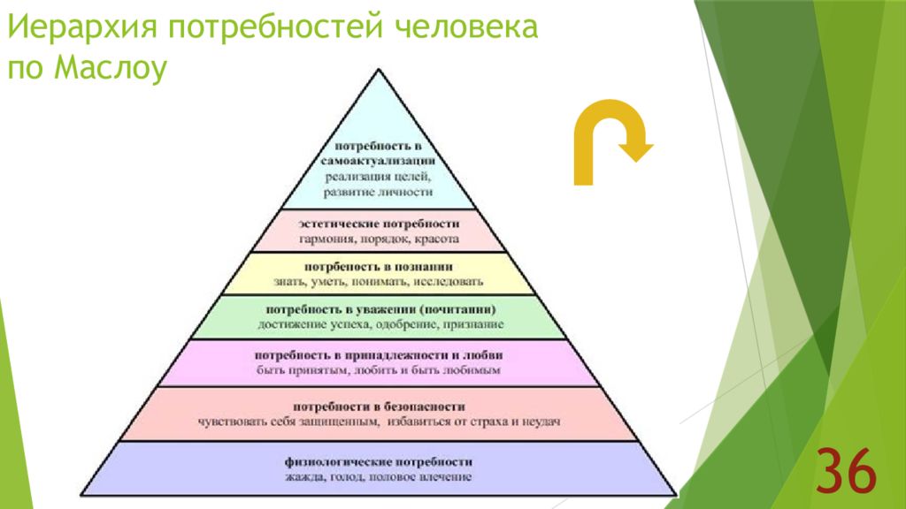 Потребности человека план