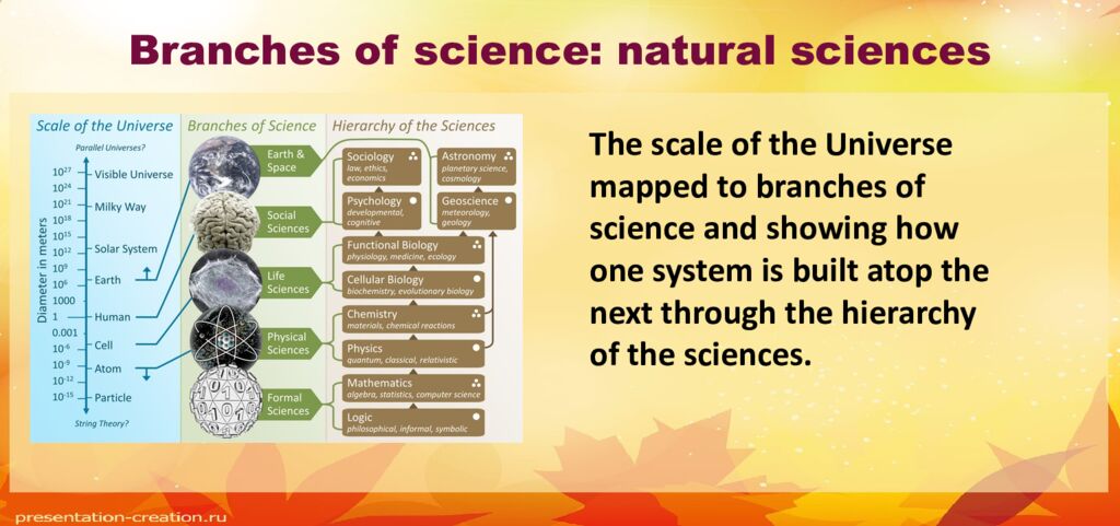 Branches of science: natural sciences