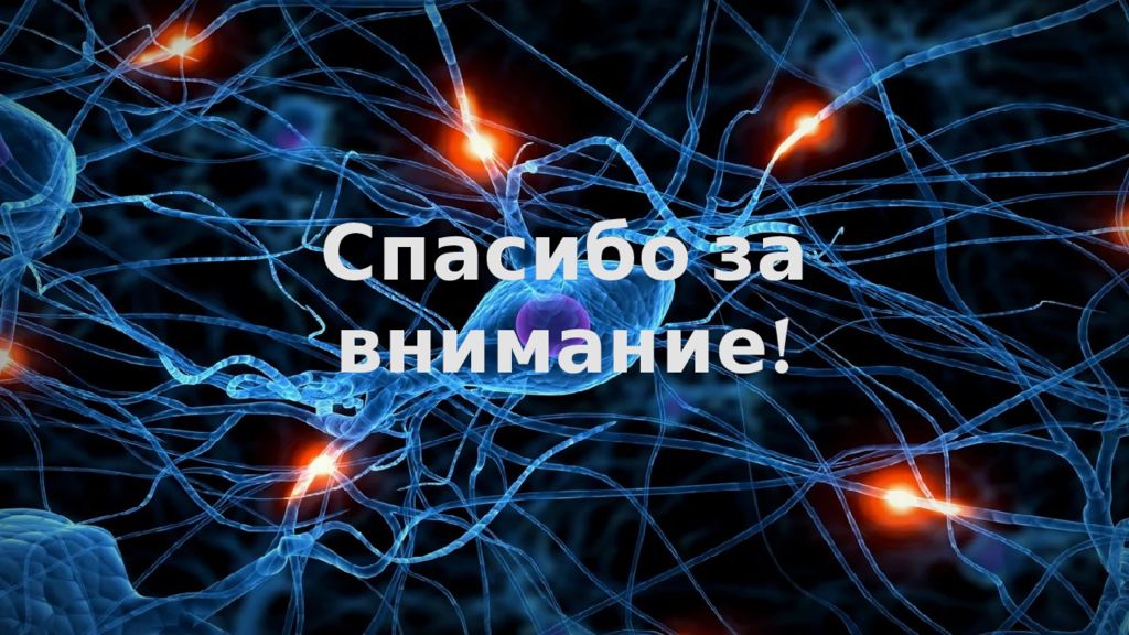 Спасибо за внимание для презентации по анатомии