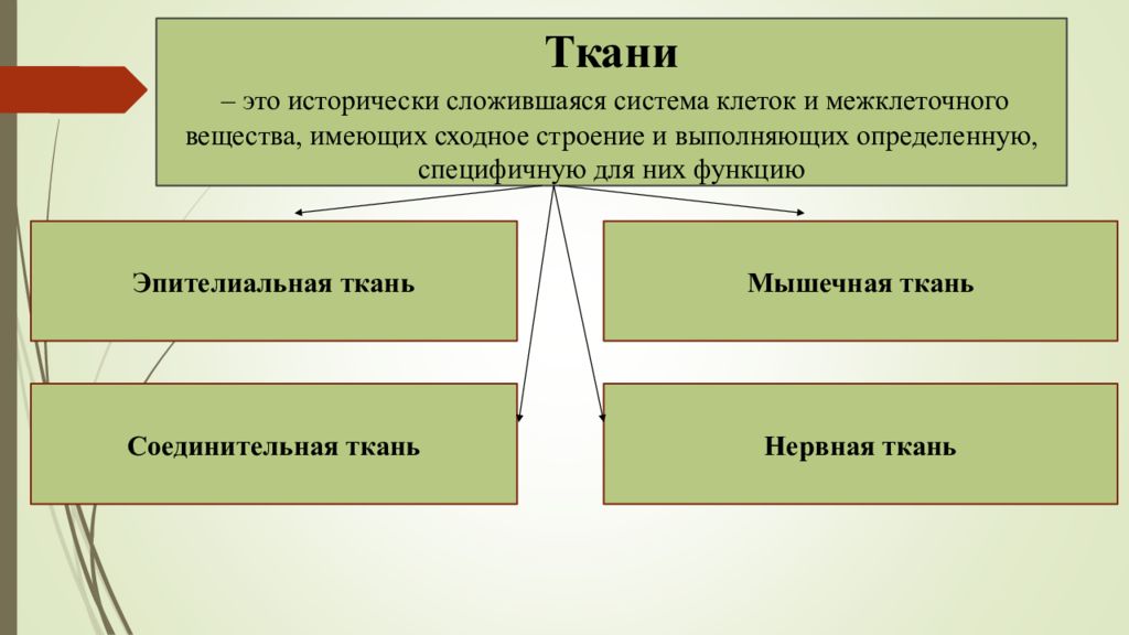 Сложившаяся система. Ткань это исторически сложившаяся. Ткань это исторически сложившаяся система клеток. Исторически сложившуюся систему различных тканей называют. Ткани это исторически сложившаяся структура.