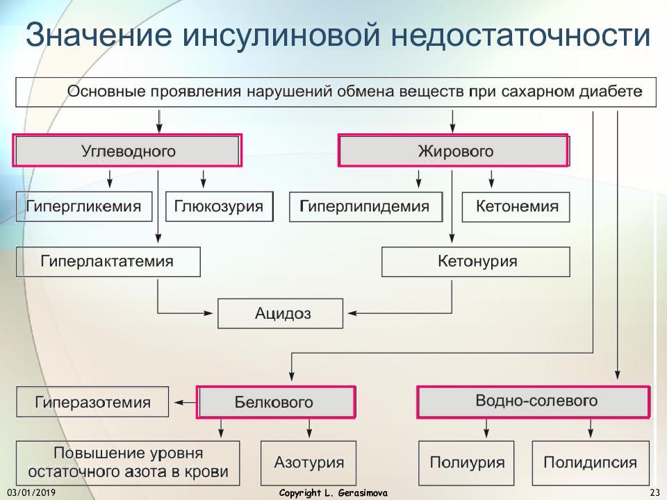 Патофизиология белкового обмена презентация