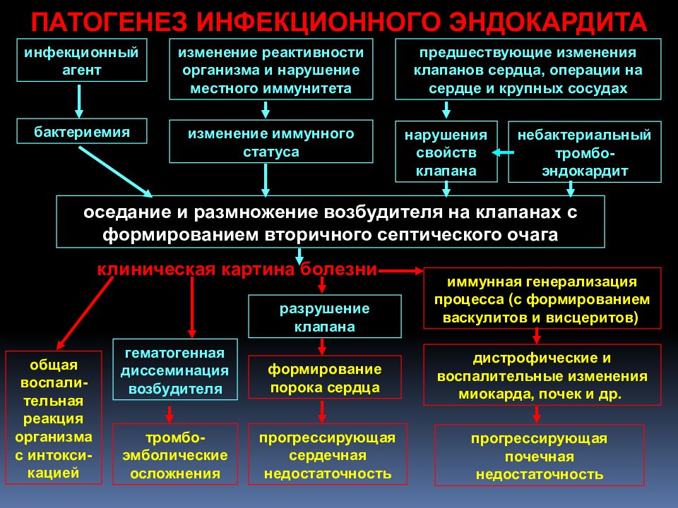 Инфекционный эндокардит терапия презентация