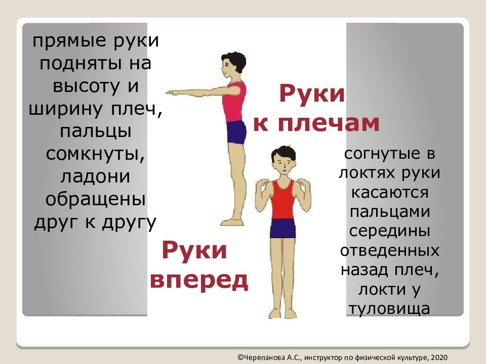 пальцы вперед локти согнули. разжатая ладонь. пальцы вперед локти согнули. круговые движения в лучезапястном суставе. круговые вращения кистями.