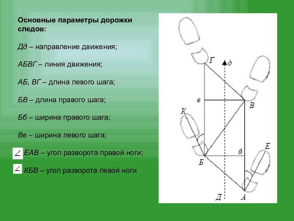 Образец описания следа обуви