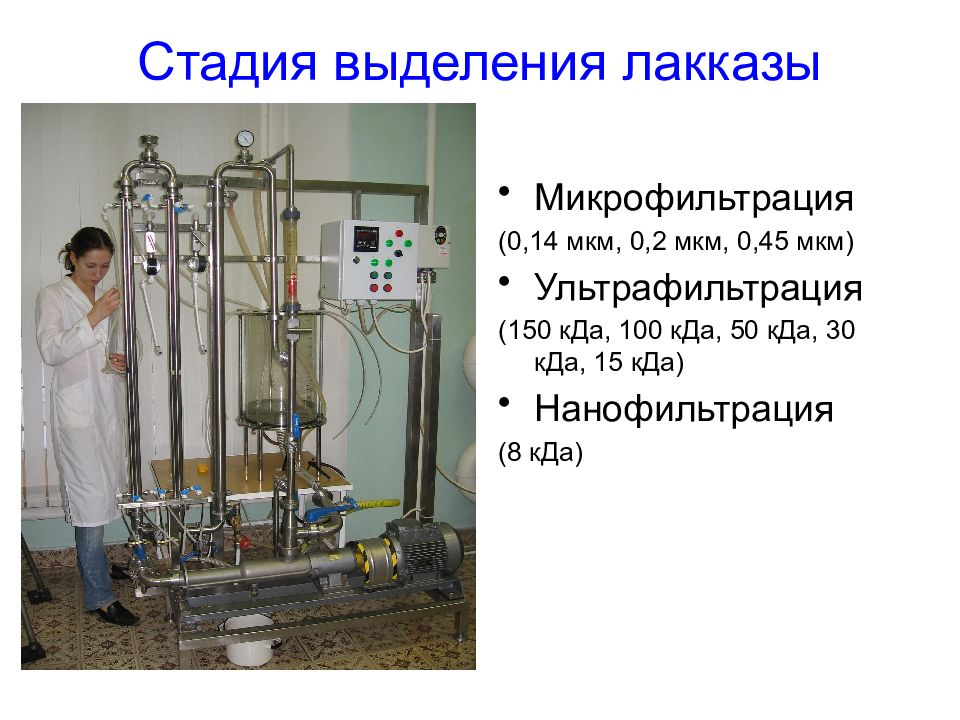 Инженерная энзимология биотехнология презентация