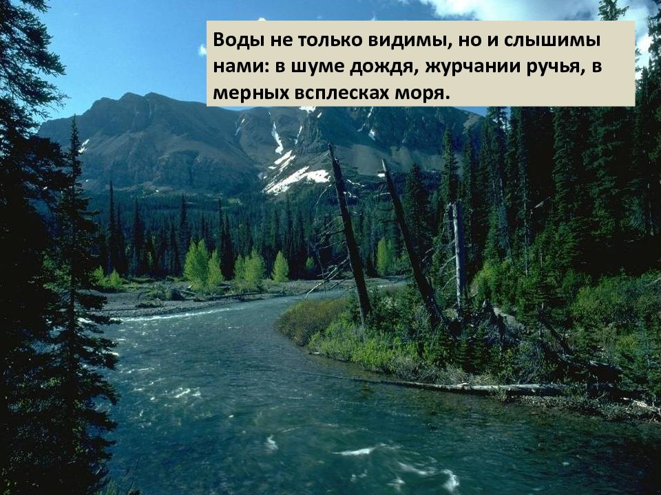 Позвони воду. Шум дождя шум моря. Вода слышит и понимает.