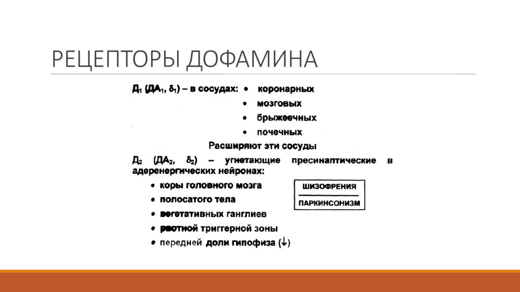 Дофаминовые рецепторы. Д2 дофаминовые рецепторы функции. Д2 рецепторы дофамина. Дофаминовые д2 рецепторы локализация. Дофаминовые d2-рецепторы локализация.