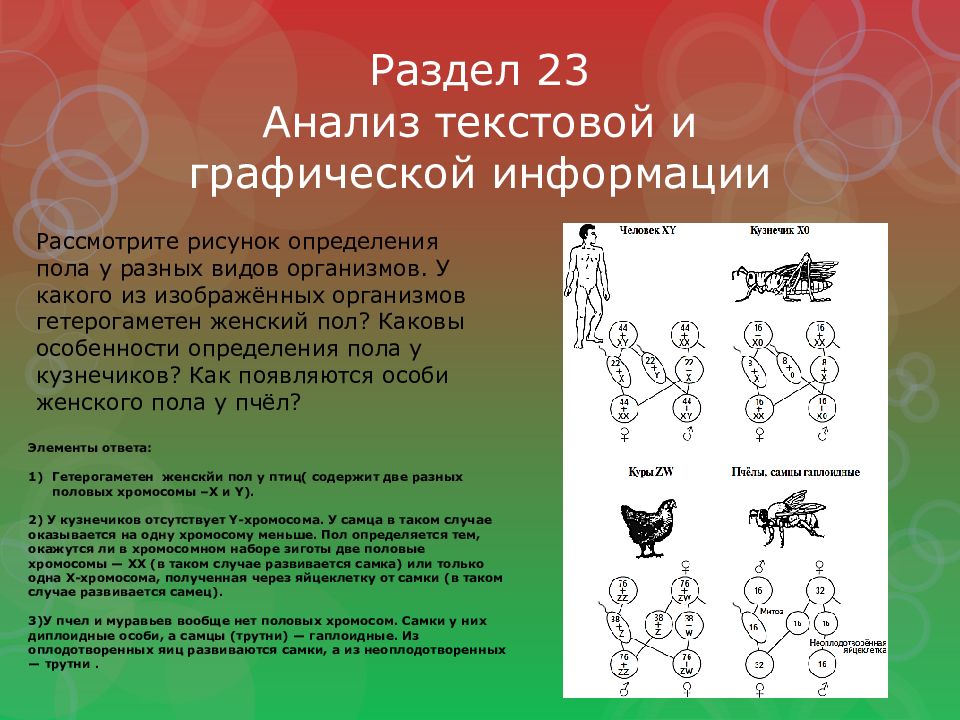 Раздел 23 Анализ текстовой и графической информации