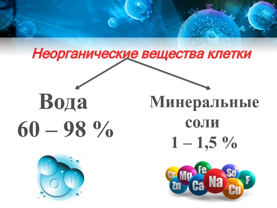 Презентация неорганические вещества клетки вода и минеральные соли