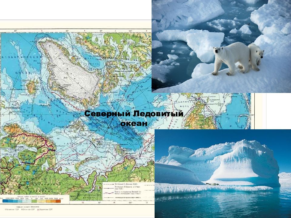 Размер северного океана. Карта Ледовитого Северного Ледовитого океана. Северный Ледовитый океан на карте. Арктический бассейн Северного Ледовитого океана.