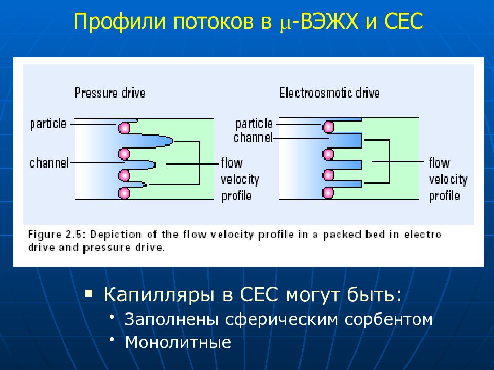 Капиллярный электрофорез презентация