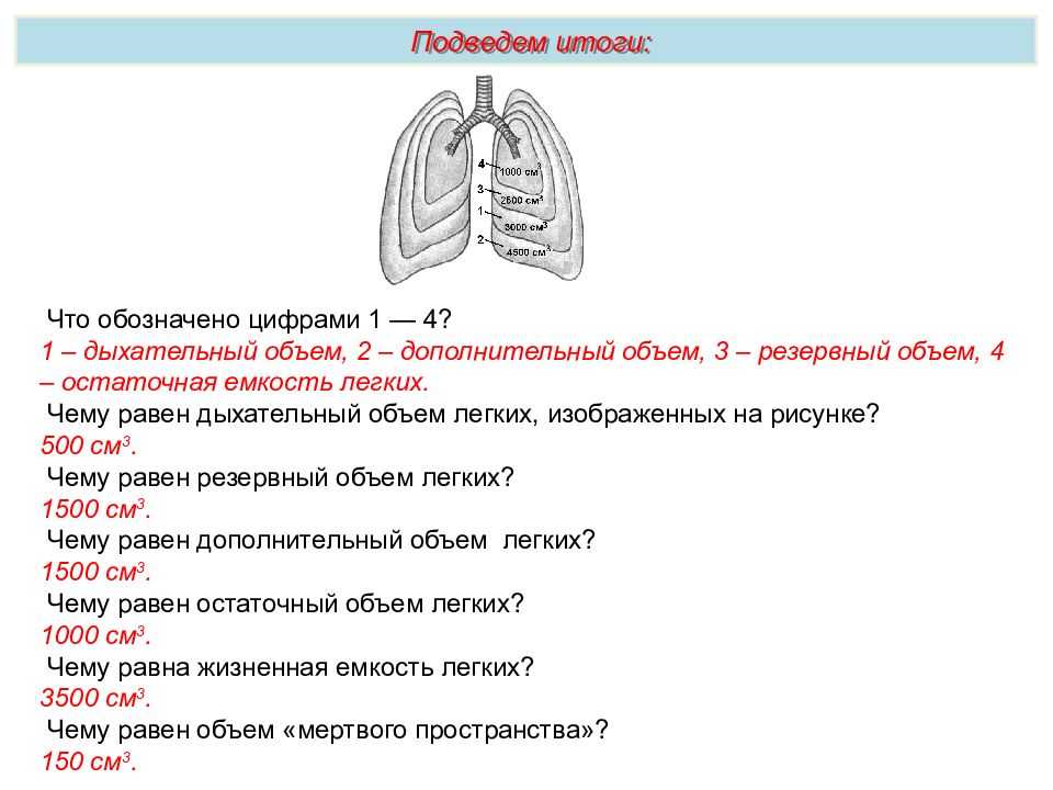 Количество легких. Дыхание презентация Пименов. Функция остаточного объема легких. Чему равен дыхательный объем легких изображенных на рисунке. Остаточный объем легких равен.