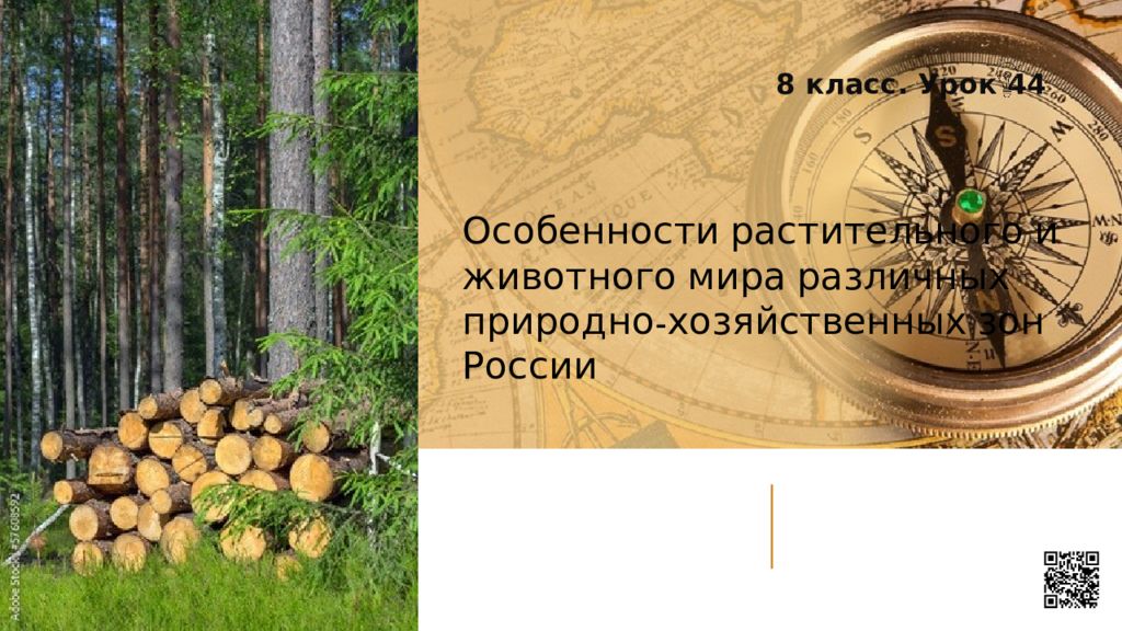 Особенности растительного и животного мира различных природно-хозяйственных зон