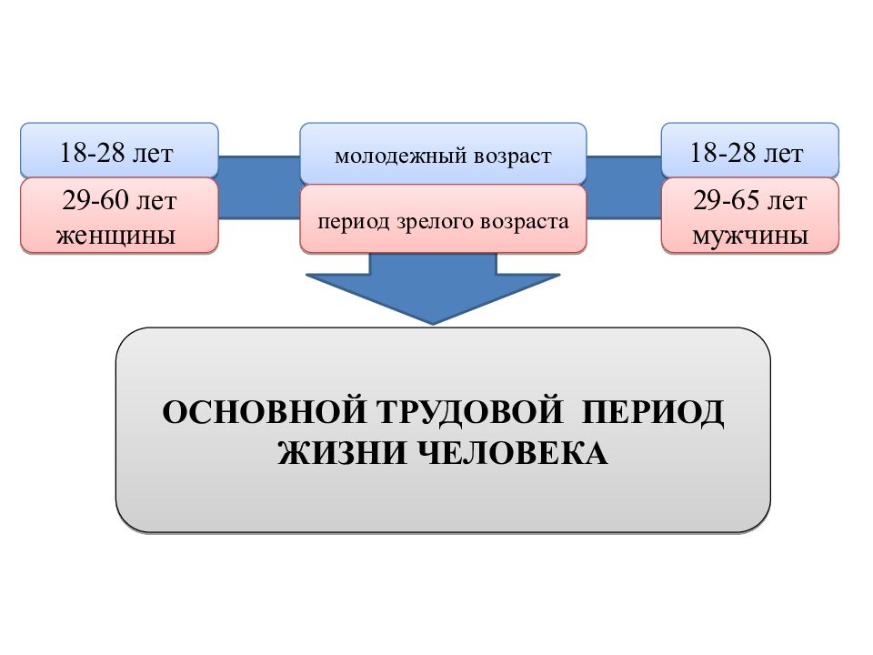 Период трудовой деятельности