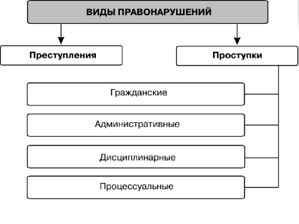 Схема правонарушения обществознание