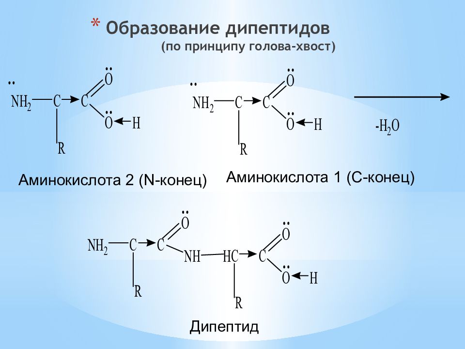 Дипептид