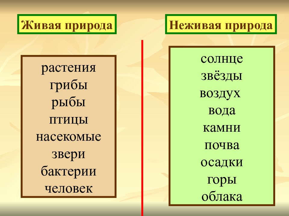 Презентация к чему относится