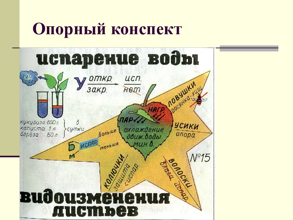 Опорный конспект в виде схемы