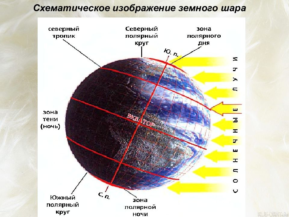 Относительно полярных кругов. Схема освещенности земли солнцем по зонам. Схематическое изображение земного шара. Схематическое изображение земного шара рисунок. Схематическое изображение земного шара география.