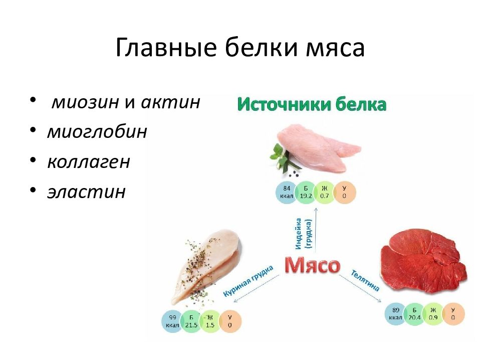 Мясо это белок