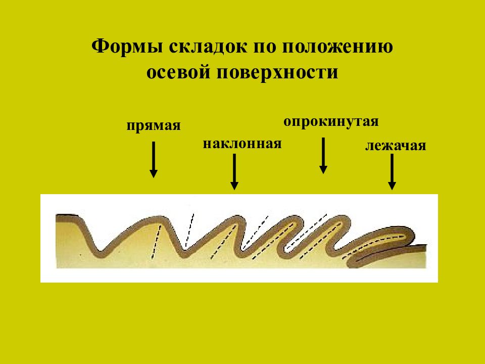 Сопоставьте элементы рисунка а б в г с типами складок по положению крыльев