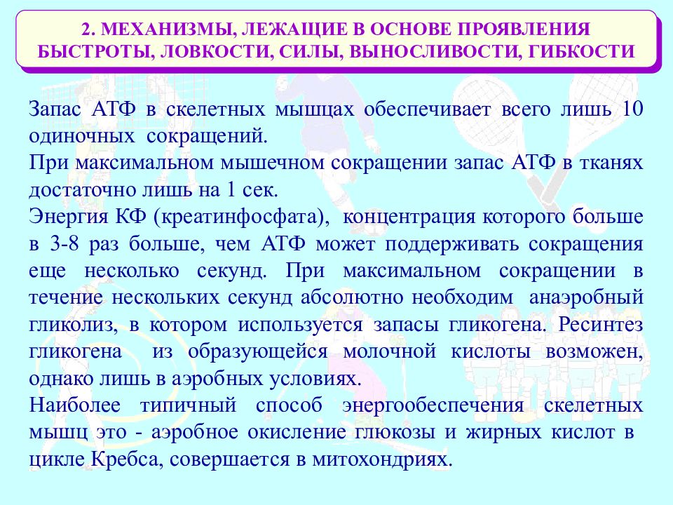 Проявления ловкости. Механизмы проявления быстроты. Физиологические основы двигательных качеств. Физические способности человека. Презентация физическая способности человека.