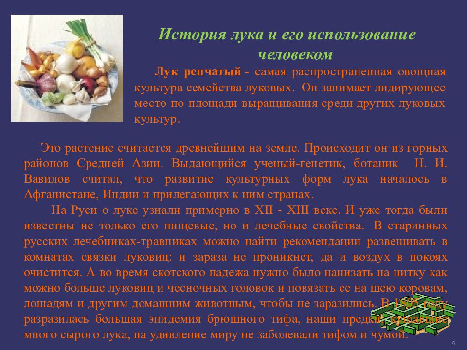 Самый распространенный овощ на земле. Самый распространенный овощ на земле