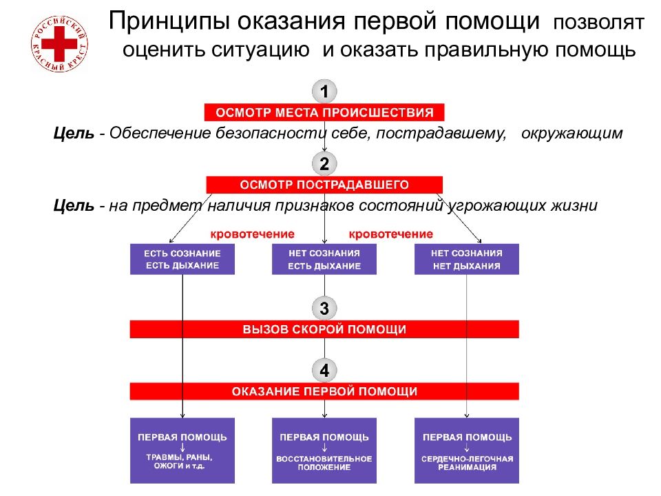 Общие правила при оказании первой медицинской помощи презентация