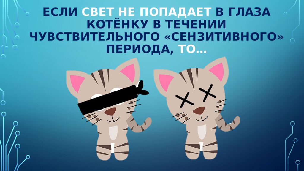 Нейроны зрительной коры: детекторы признаков и их иерархия