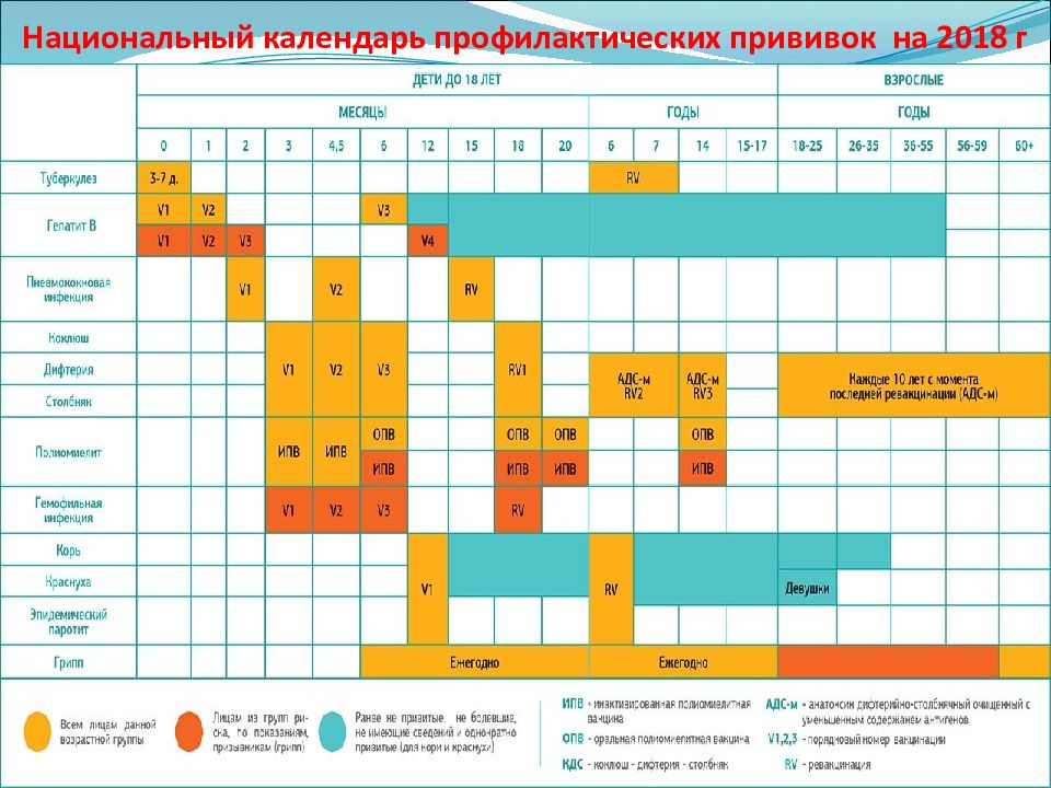 Схема национального календаря профилактических прививок