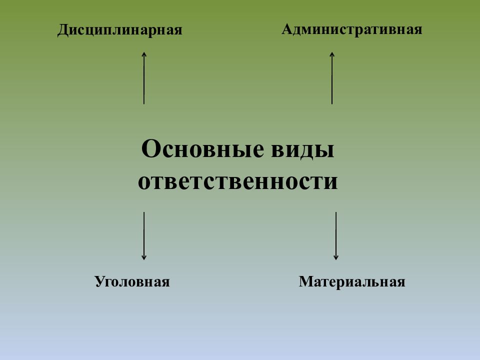 Муниципальная ответственность