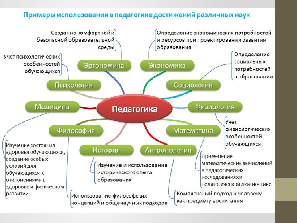 Место педагогики в системе наук о человеке схема