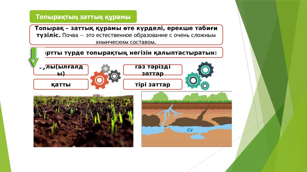 ТОПЫРАҚ ЖӘНЕ ОНЫҢ ҚҰРАМЫ МЕН ҚҰРЫЛЫМЫ