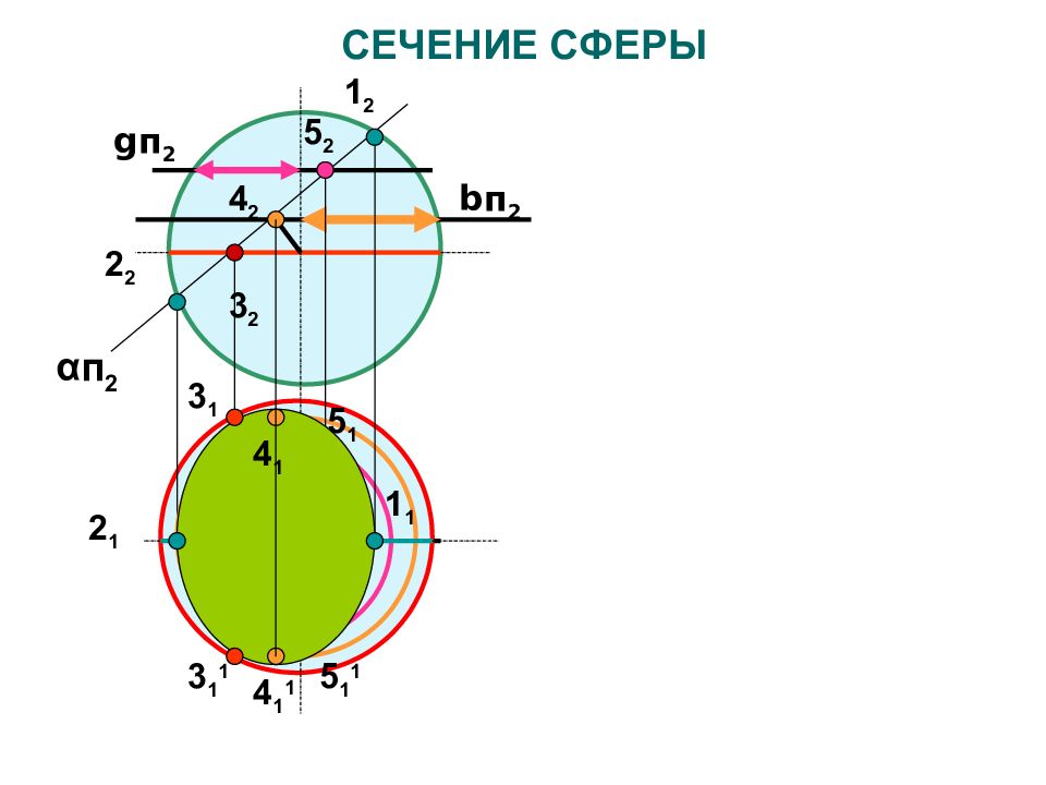 Сечение сферы. Построение сечения сферы. Линия сечения сферы. Сечение сферы геометрия.