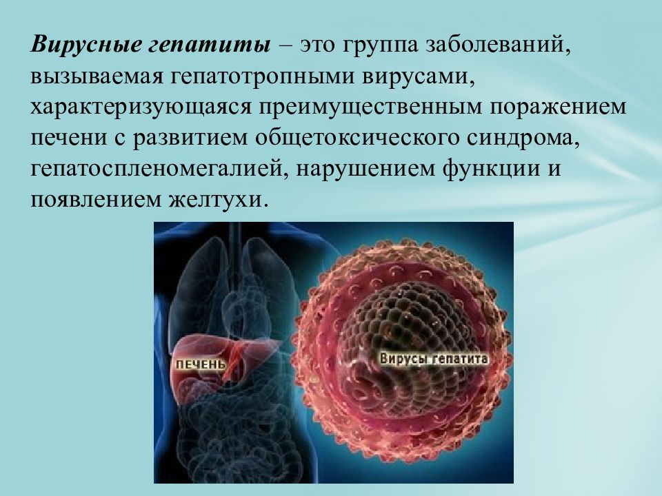 Презентация по теме гепатит