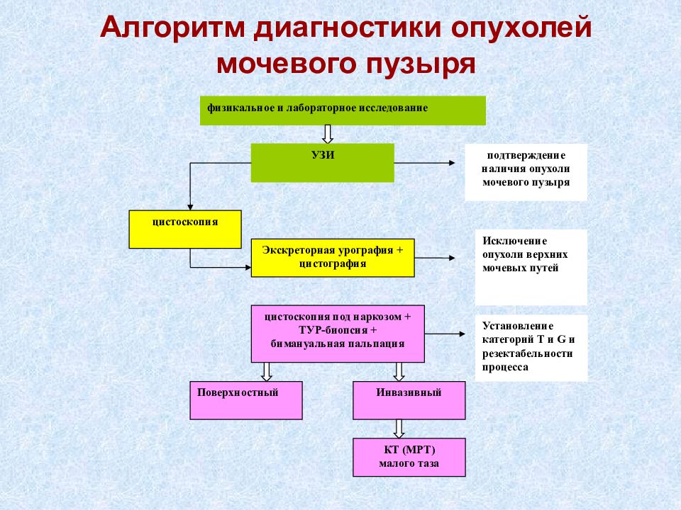 Диагностика опухолей. Алгоритм диагностики опухолей. Алгоритм диагностики опухолей мочевого пузыря. Алгоритм диагностики ра. Опухоли мочевого пузыря лабораторная диагностика.