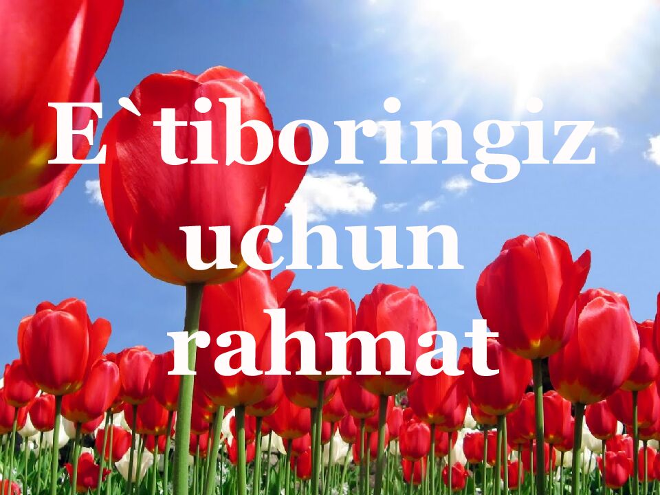 SALOM SENGA GULBAHOR”