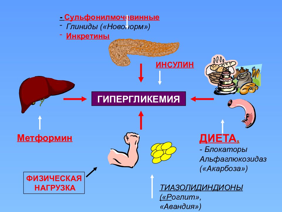 Презентация по биологии сахарный диабет