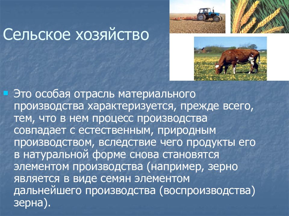 Особенности сельского хозяйства в тайге. Особенности сельского хозяйства. Характеристика сельского хозяйства. Особенности сельского хозяйства региона. Особенности сельского хозяйства как отрасли.