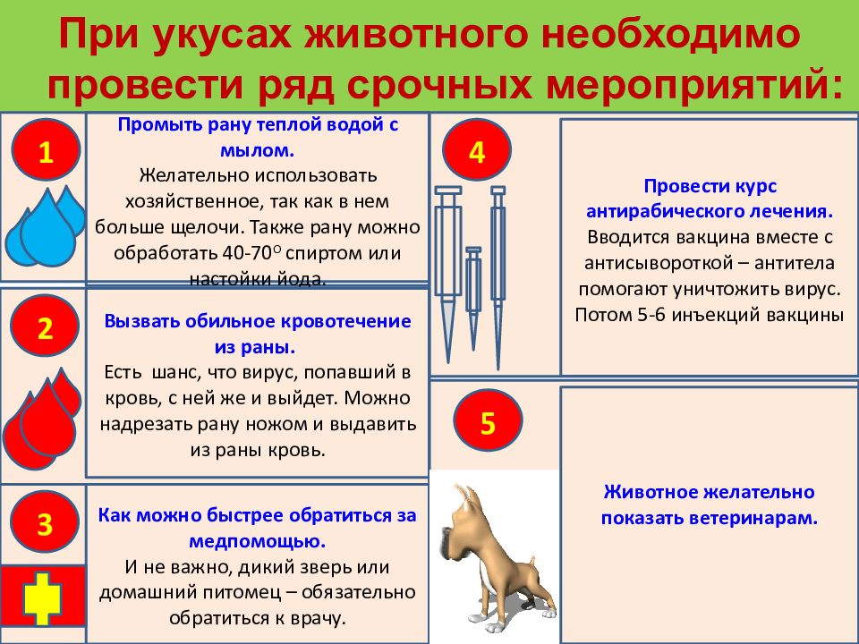 Первая помощь при отравлениях презентация обж