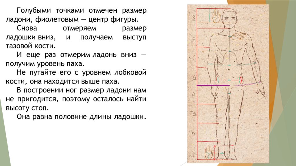 Отмеченный размер