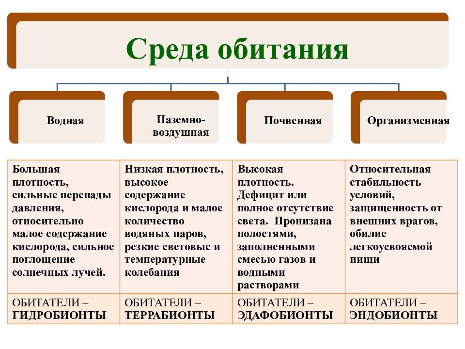 Экология биология теория. Среда наземно воздушная водная почвенная организменная. Водная и почвенная среда обитания сходства и различия. Особенности водной почвенной наземно-воздушной и организменной сред. Водная почвенная наземно-воздушная организменная таблица.