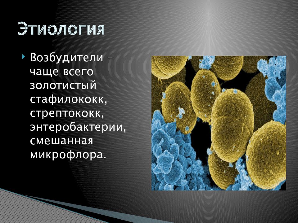 Презентация гнойные заболевания костей и суставов