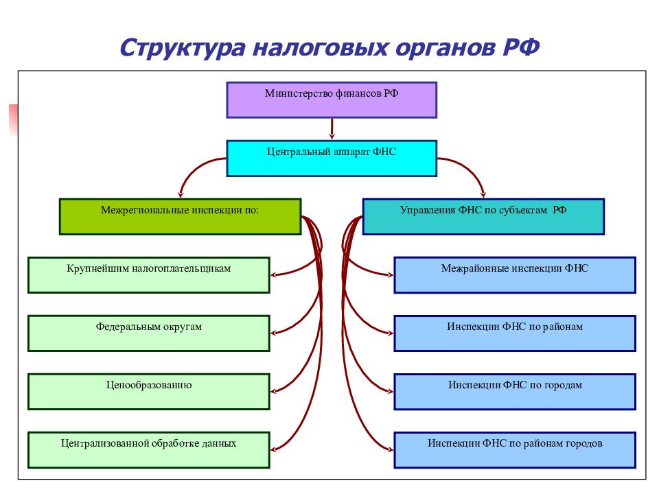 Фискальные налоговые органы