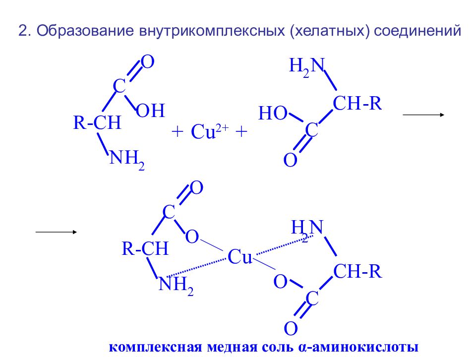 Поли и гетерофункциональные соединения презентация