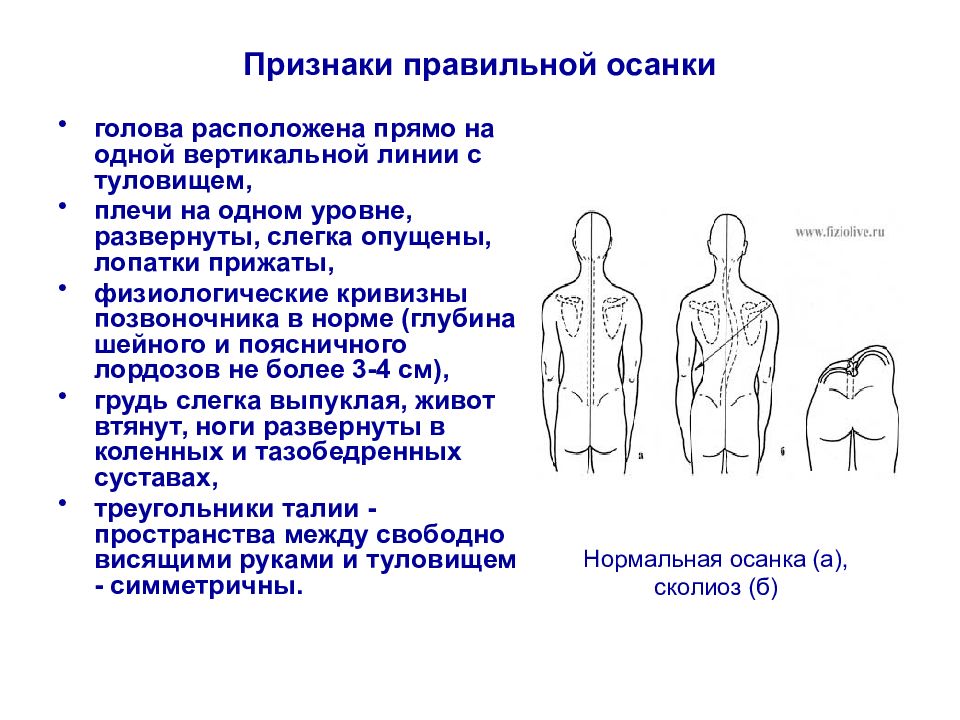 Признаки правильной. Признаки нормальной осанки. Признаки правильной осанки. 5 Признаков правильной осанки. Признаки характеризующие правильную осанку.