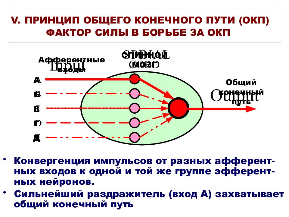 3 фактора силы