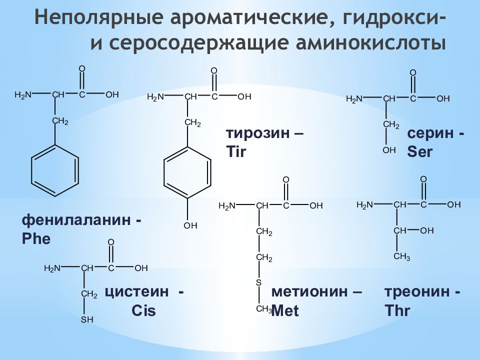 Пул аминокислот. Кетоаналоги аминокислот. Иминокислота. Схема распада серосодержащих аминокислот. Белки аминокислоты.