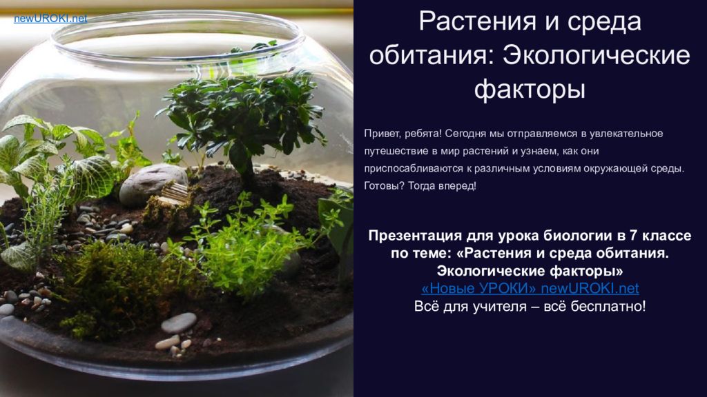 Растения и среда обитания: Экологические факторы Привет, ребята! Сегодня мы