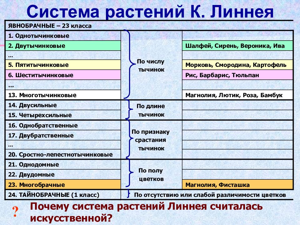 Почему система. Система растений Линнея. Линней классификация животных. Классификация растений по Линнею. Система классификации Линнея.